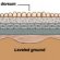 Bituminous Road construction