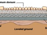 Bituminous Road construction