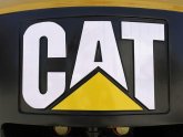 Cat building company